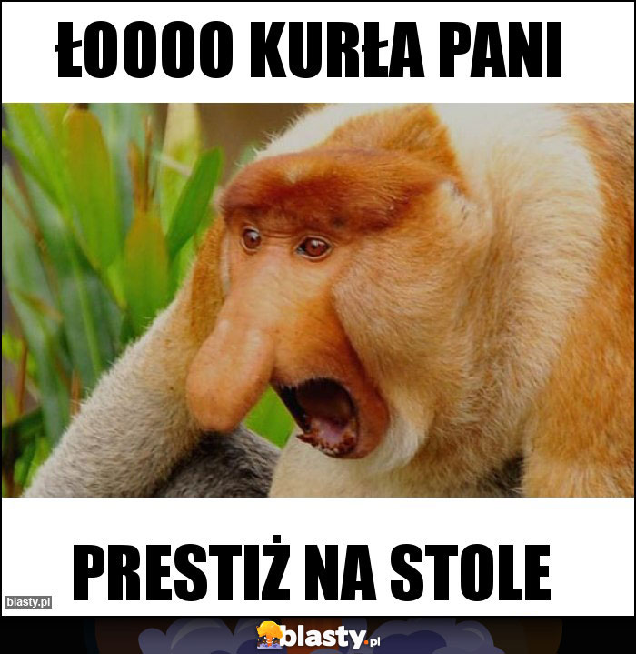 Łoooo kurła pani Łoooo kurła pani
