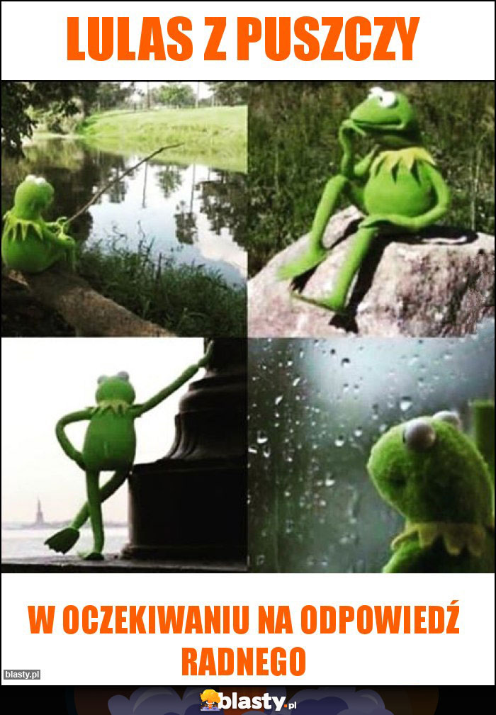 Lulas z puszczy Lulas z puszczy