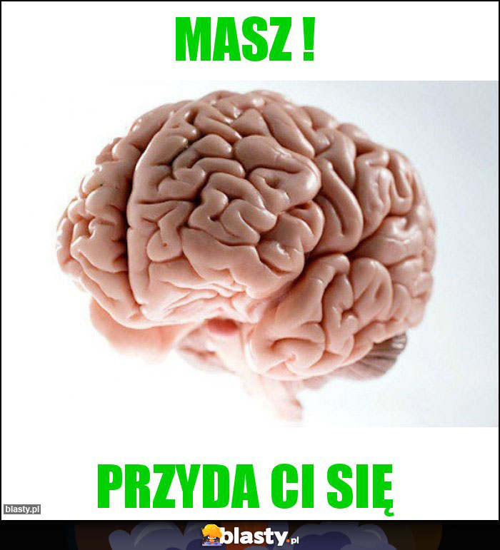 Masz !