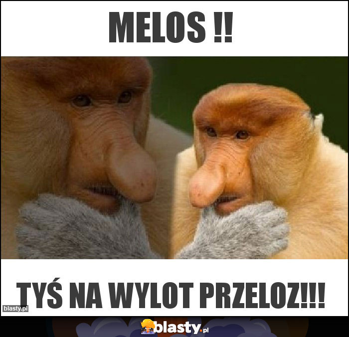 MELOS !!