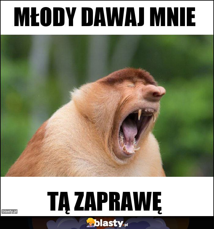 Młody dawaj mnie Młody dawaj mnie