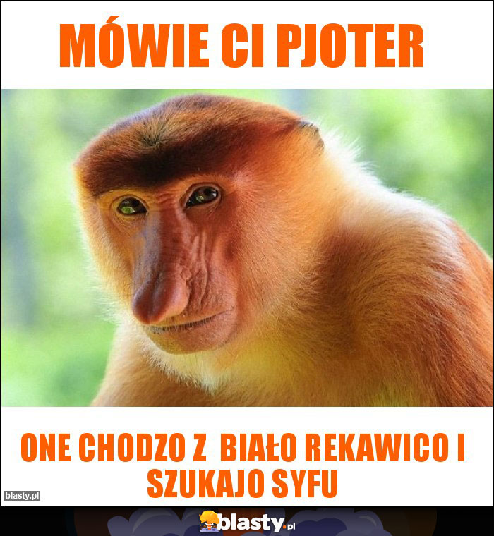 Mówie Ci pjoter Mówie Ci pjoter