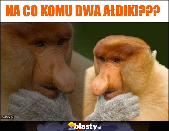 Na co komu dwa ałdiki??? Na co komu dwa ałdiki???