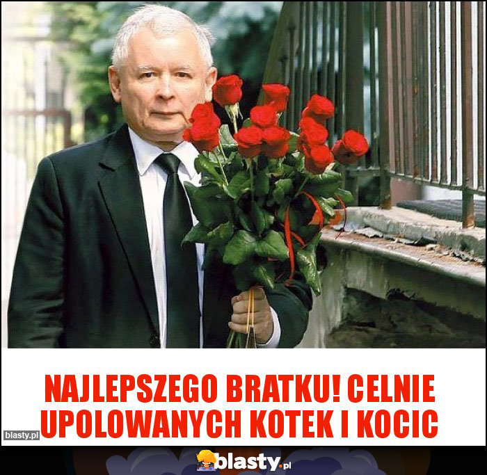Najlepszego Bratku! Celnie upolowanych kotek i kocic Najlepszego Bratku! Celnie upolowanych kotek i kocic