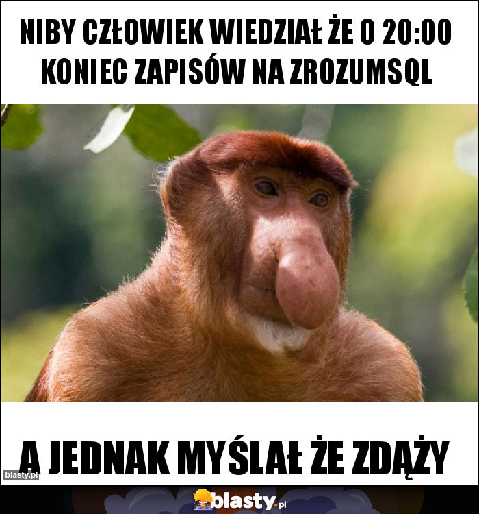 NIBY CZŁOWIEK WIEDZIAŁ ŻE O 20:00 KONIEC ZAPISÓW NA ZROZUMSQL NIBY CZŁOWIEK WIEDZIAŁ ŻE O 20:00 KONIEC ZAPISÓW NA ZROZUMSQL