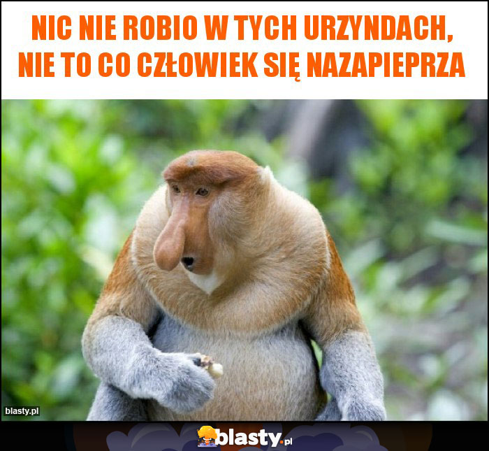 nic nie robio w tych urzyndach, nie to co człowiek się nazapieprza nic nie robio w tych urzyndach, nie to co człowiek się nazapieprza
