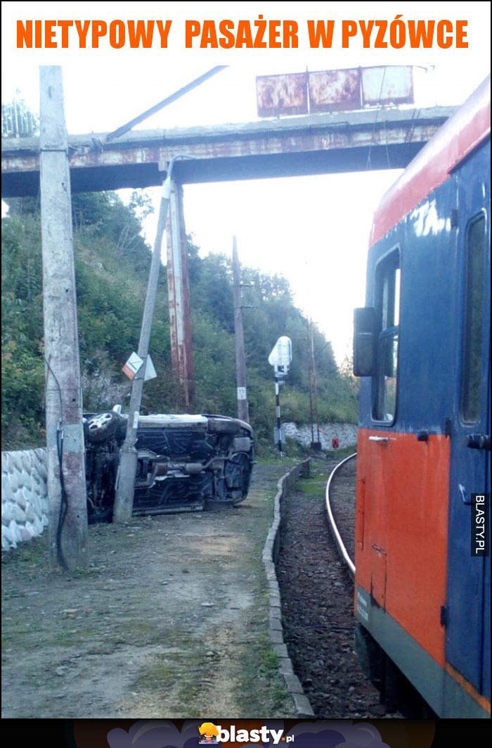 nietypowy pasażer w pyzówce nietypowy pasażer w pyzówce