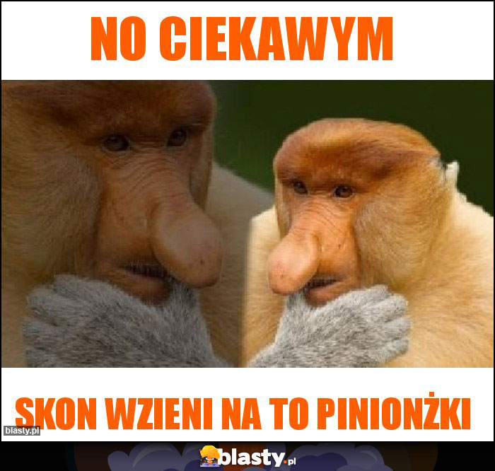 no ciekawym no ciekawym