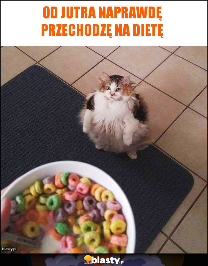 Od jutra naprawdę przechodzę na dietę Od jutra naprawdę przechodzę na dietę