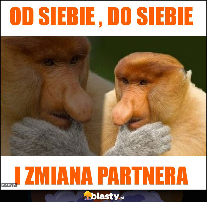 OD SIEBIE , DO SIEBIE
