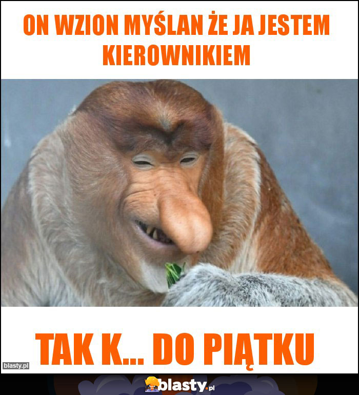 On wzion myślan że ja jestem kierownikiem On wzion myślan że ja jestem kierownikiem