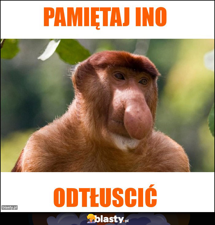 Pamiętaj ino Pamiętaj ino
