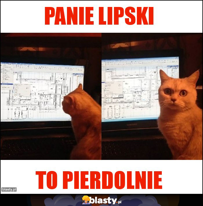 Panie Lipski Panie Lipski