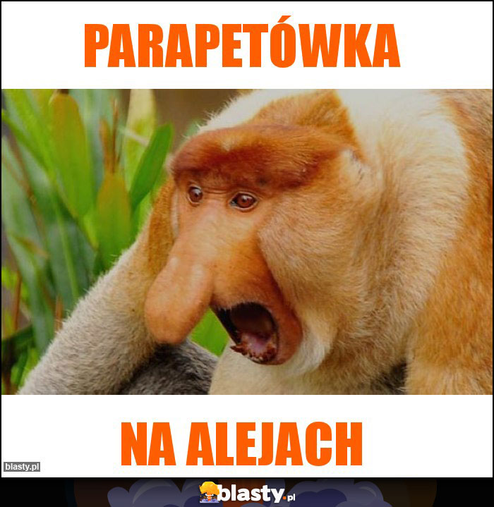 PARAPETÓWKA PARAPETÓWKA