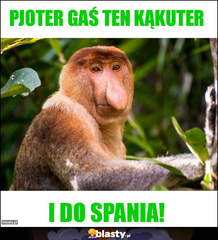 Pjoter gaś ten kąkuter Pjoter gaś ten kąkuter