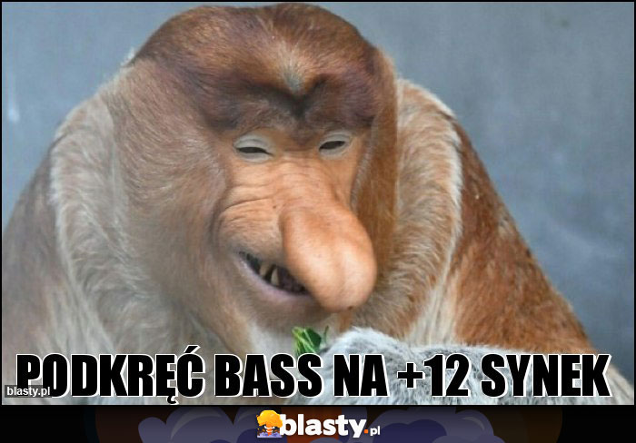 Podkręć bass na +12 synek Podkręć bass na +12 synek