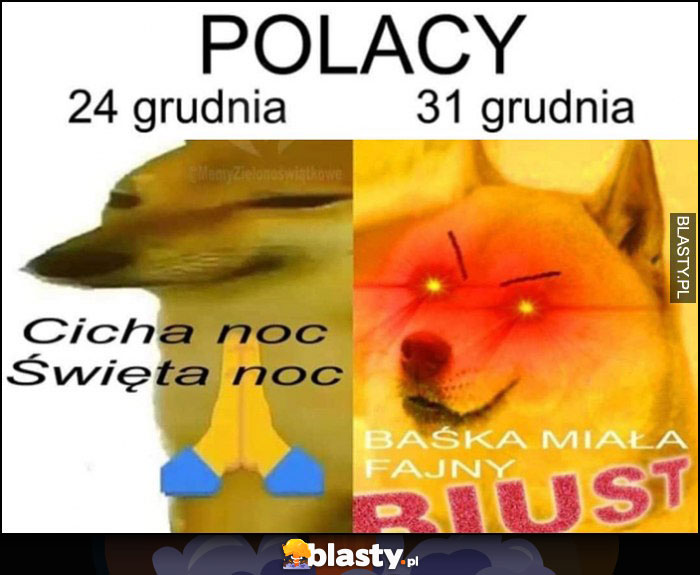 Polacy 24 grudnia cicha noc, święta noc. 31 grudnia Baśka miała fajny biust pies pieseł doge