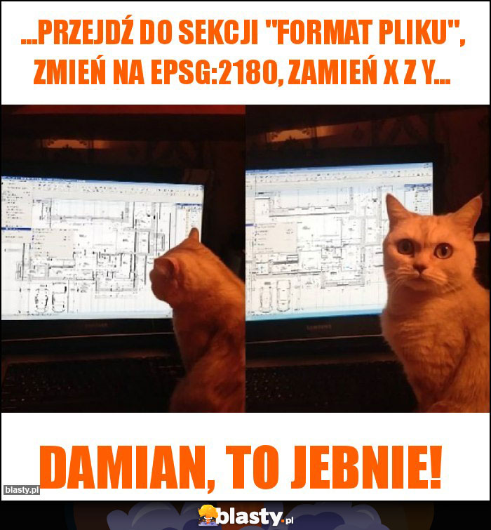 ...przejdź do sekcji ...przejdź do sekcji