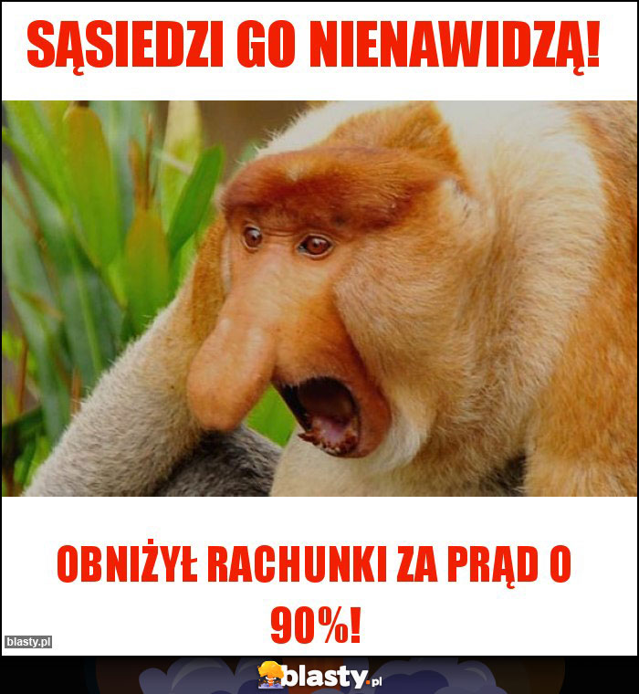 SĄSIEDZI GO NIENAWIDZĄ! SĄSIEDZI GO NIENAWIDZĄ!