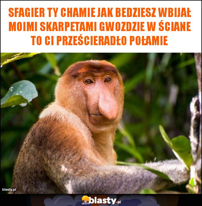 Sfagier ty chamie jak bedziesz wbijał moimi skarpetami gwozdzie w ściane to ci prześcieradło połamie Sfagier ty chamie jak bedziesz wbijał moimi skarpetami gwozdzie w ściane to ci prześcieradło połamie