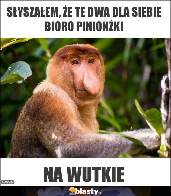 Słyszałem, że te dwa dla siebie bioro pinionżki Słyszałem, że te dwa dla siebie bioro pinionżki