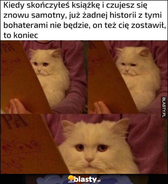 Smutny kot kiedy skończyłeś książkę i czujesz się znowu samotny, to koniec