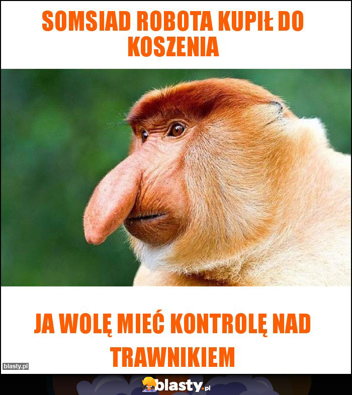 Somsiad robota kupił do koszenia Somsiad robota kupił do koszenia