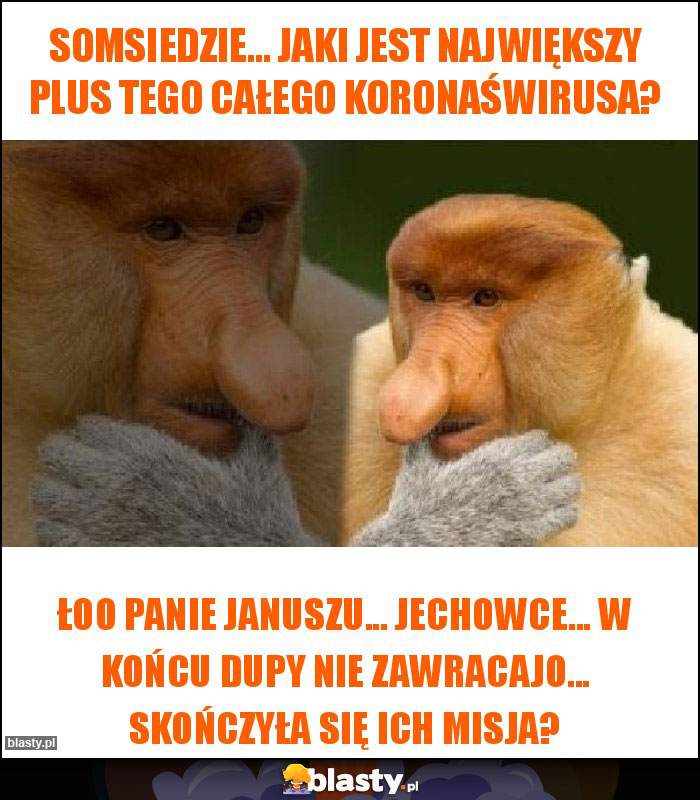 Somsiedzie... Jaki jest największy plus tego całego koronaświrusa? Somsiedzie... Jaki jest największy plus tego całego koronaświrusa?