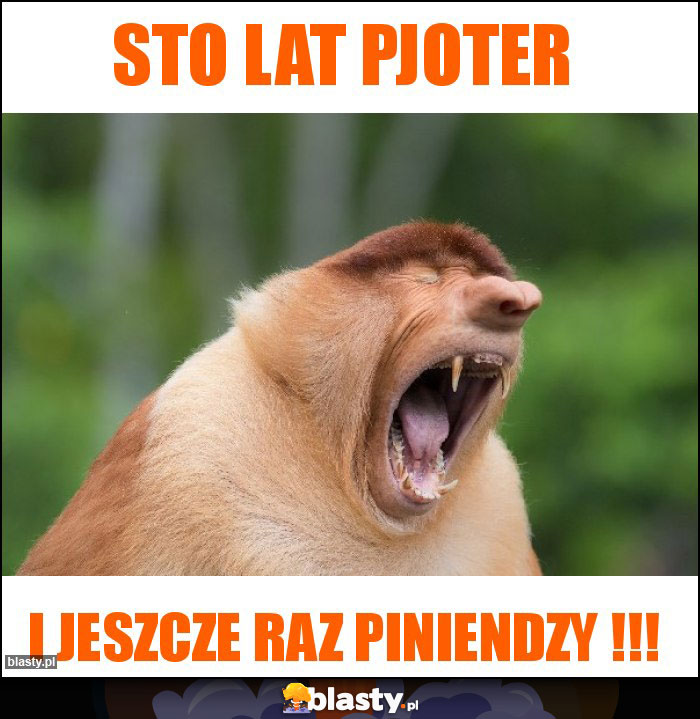 STO LAT PJOTER