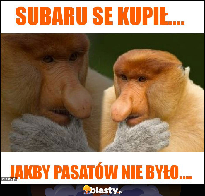 Subaru se kupił....