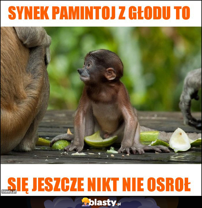 Synek pamintoj z głodu to Synek pamintoj z głodu to