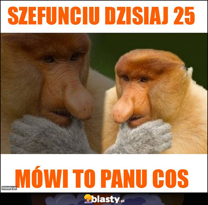 Szefunciu dzisiaj 25 Szefunciu dzisiaj 25