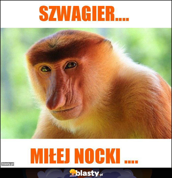 Szwagier.... Szwagier....
