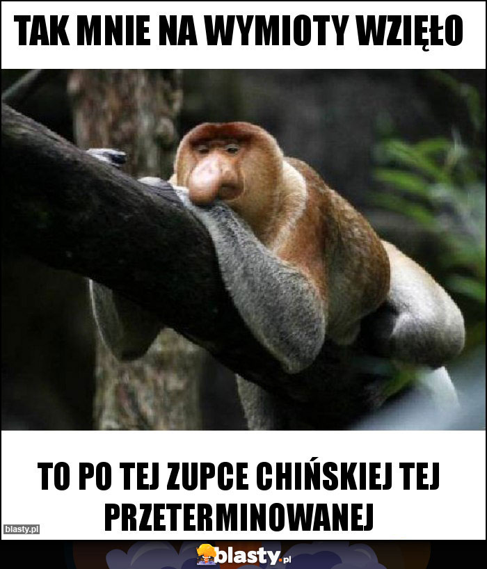 TAK MNIE NA WYMIOTY WZIĘŁO TAK MNIE NA WYMIOTY WZIĘŁO