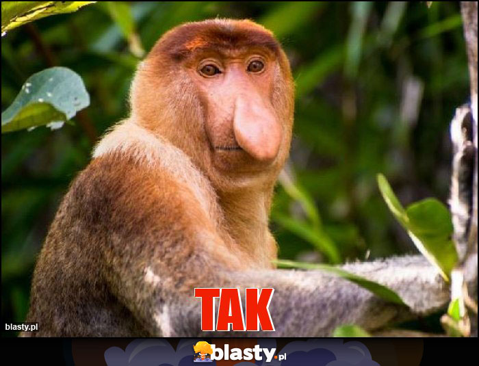 Tak