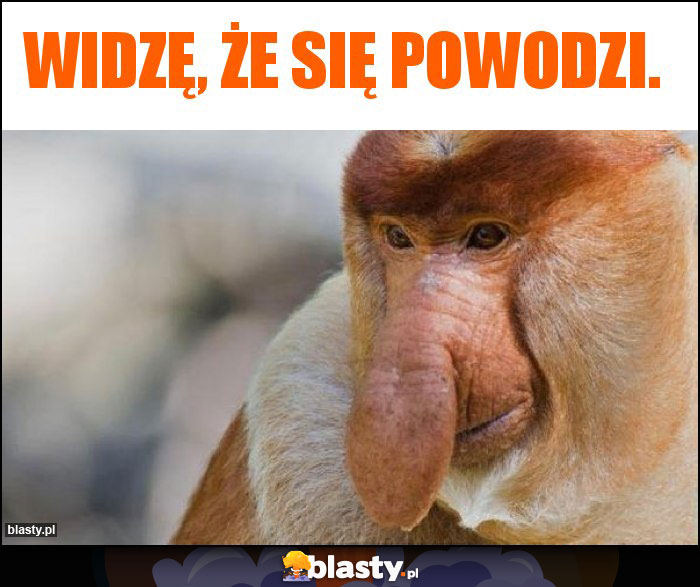 Widzę, że się powodzi. Widzę, że się powodzi.