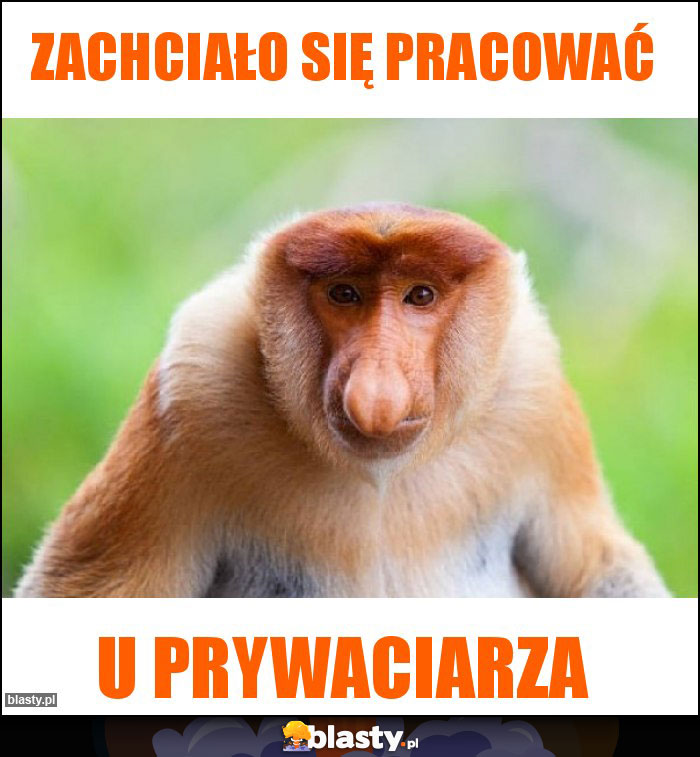 ZACHCIAŁO SIĘ PRACOWAĆ ZACHCIAŁO SIĘ PRACOWAĆ