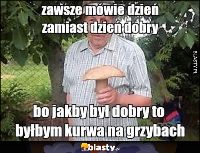 Zawszę mówię dzień zamiast dzień dobry, bo jakby był dobry to byłbym na grzybach