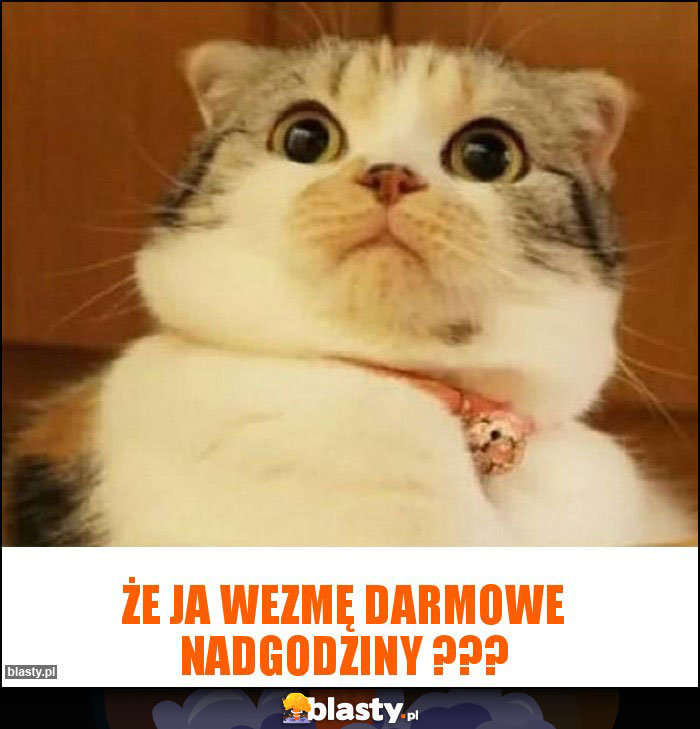 Że ja wezmę darmowe nadgodziny ??? Że ja wezmę darmowe nadgodziny ???