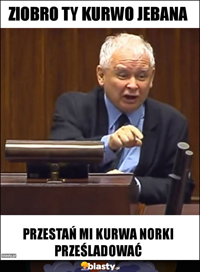 Ziobro Ty kurwo jebana Ziobro Ty kurwo jebana