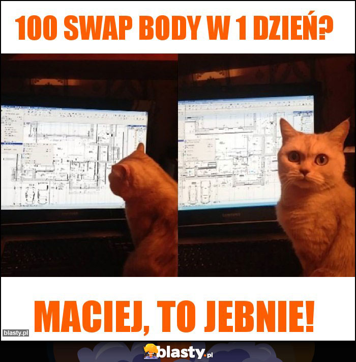 100 swap body w 1 dzień? 100 swap body w 1 dzień?