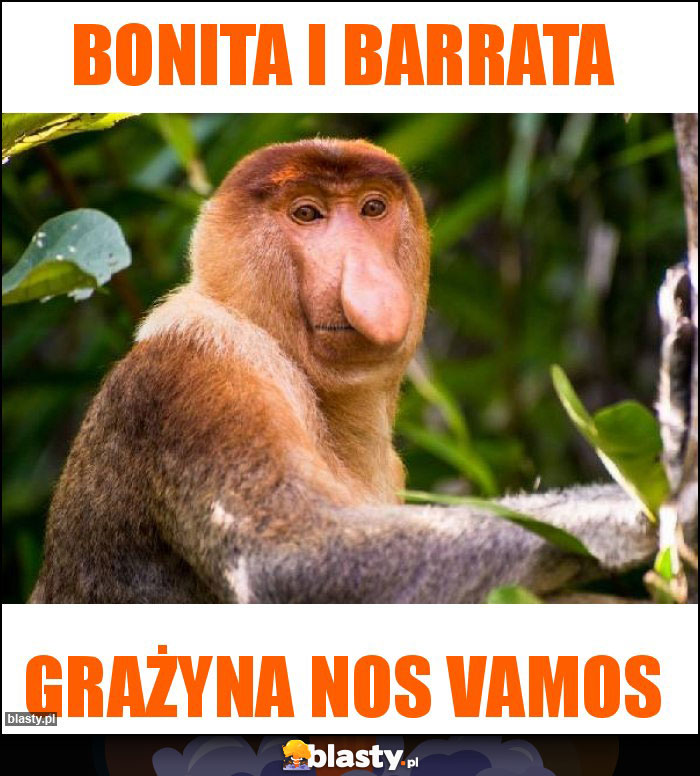 Bonita i Barrata Bonita i Barrata
