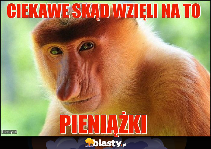 Ciekawe skąd wzięli na to Ciekawe skąd wzięli na to