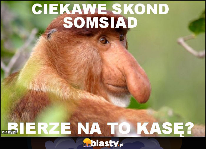 CIEKAWE SKOND SOMSIAD CIEKAWE SKOND SOMSIAD