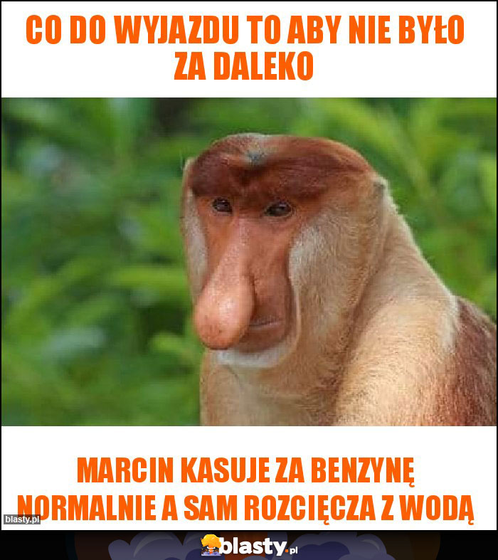 Co do wyjazdu to aby nie było za daleko Co do wyjazdu to aby nie było za daleko