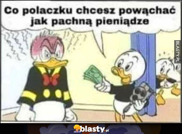 Co polaczku, chcesz powąchać jak pachną pieniądze? Kaczor Donald