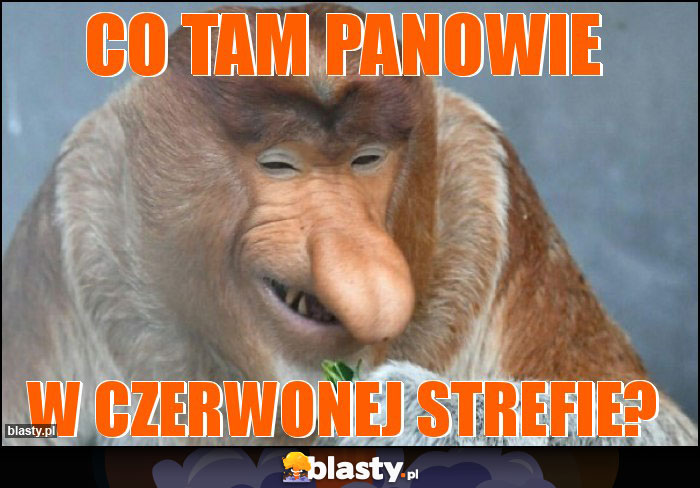 CO tam panowie CO tam panowie