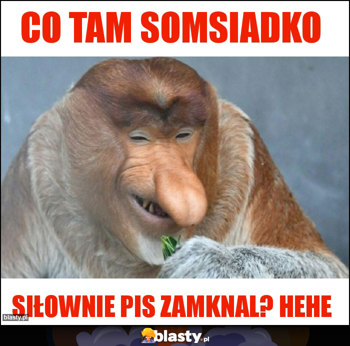 Co tam somsiadko Co tam somsiadko