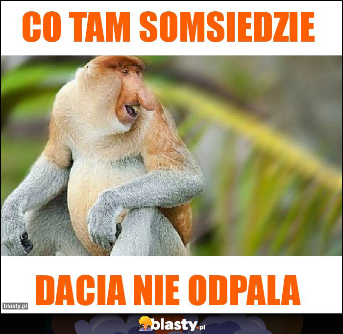 CO tam Somsiedzie CO tam Somsiedzie