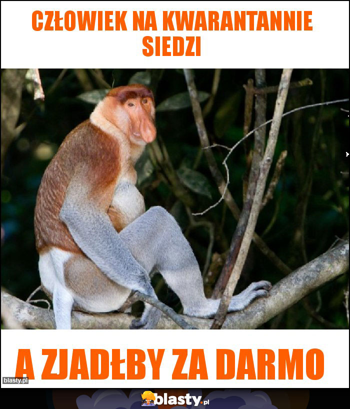 Człowiek na kwarantannie siedzi Człowiek na kwarantannie siedzi